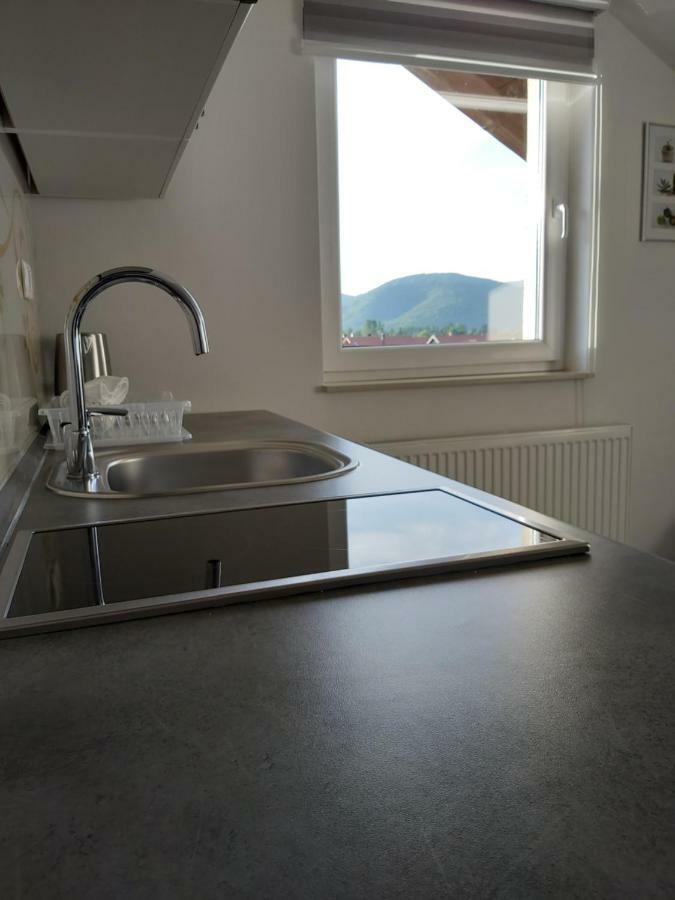 Apartmani Brigita Korenica Exteriér fotografie